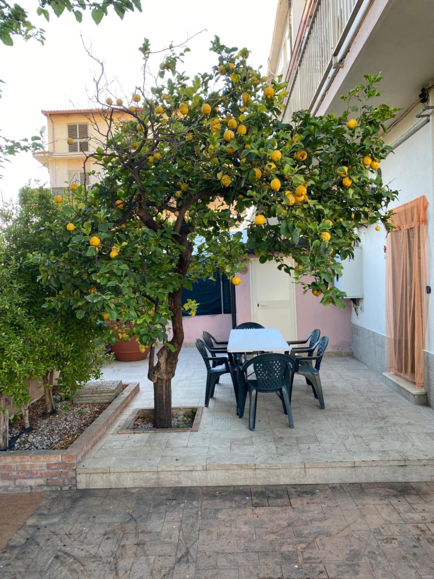 Villa L'Albero Di Limoni Sul Mare Di Pizzo Extérieur photo
