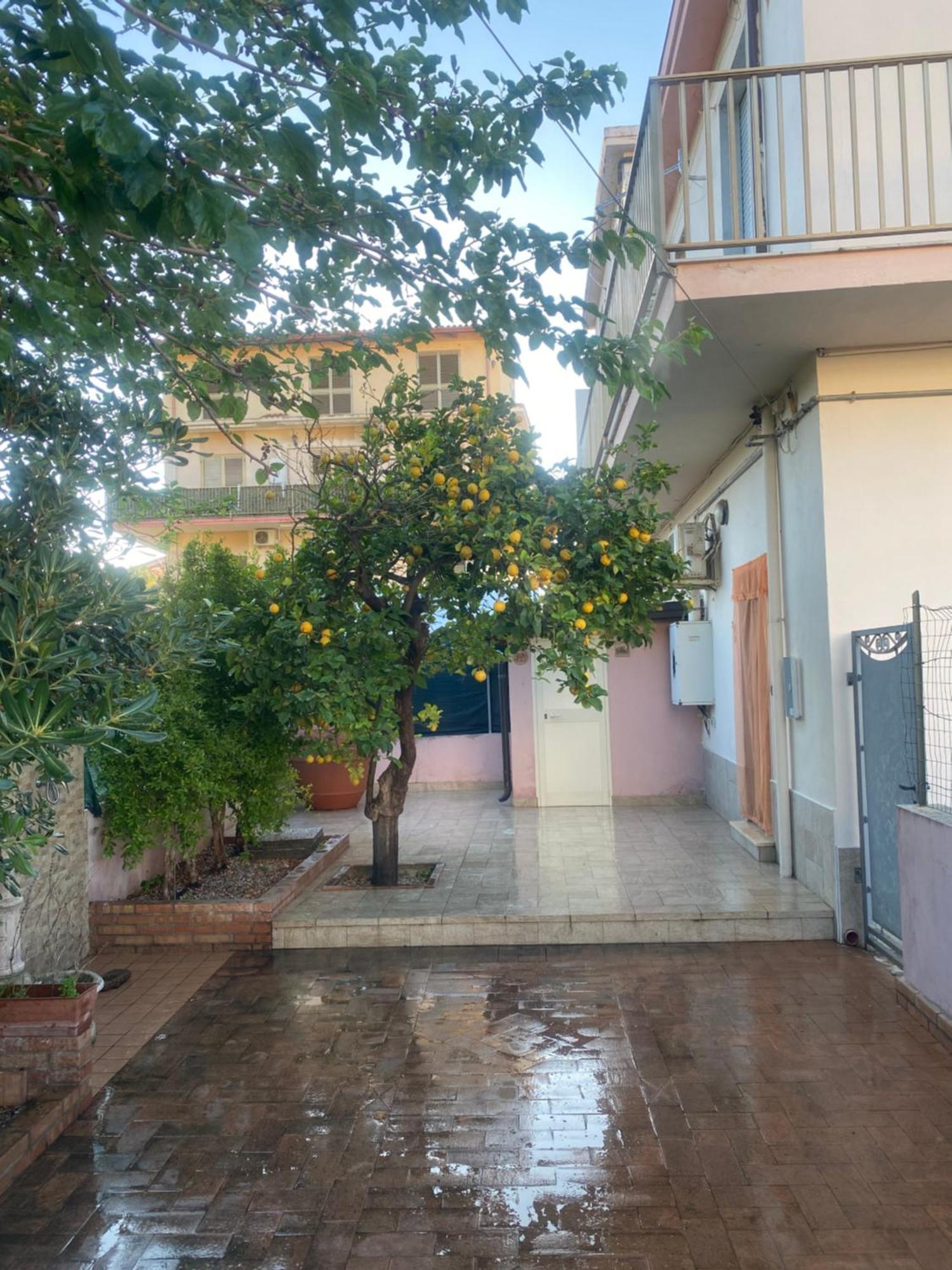 Villa L'Albero Di Limoni Sul Mare Di Pizzo Extérieur photo