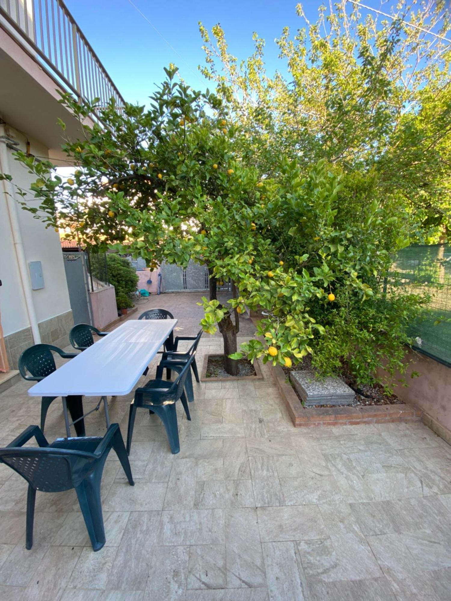 Villa L'Albero Di Limoni Sul Mare Di Pizzo Extérieur photo