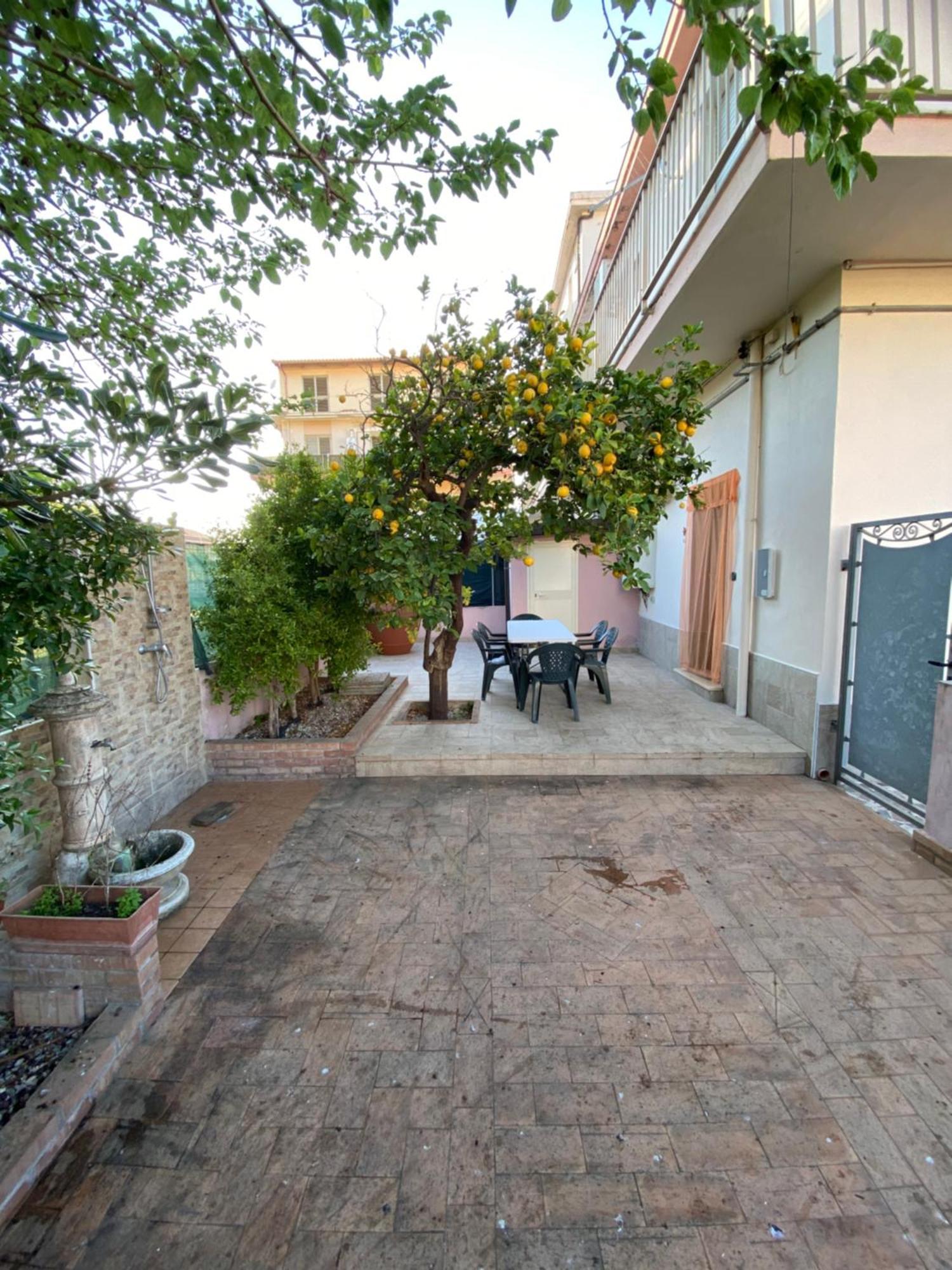 Villa L'Albero Di Limoni Sul Mare Di Pizzo Extérieur photo